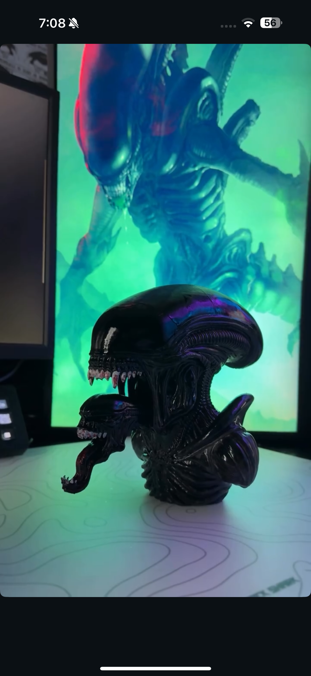 xenomorph bust figure