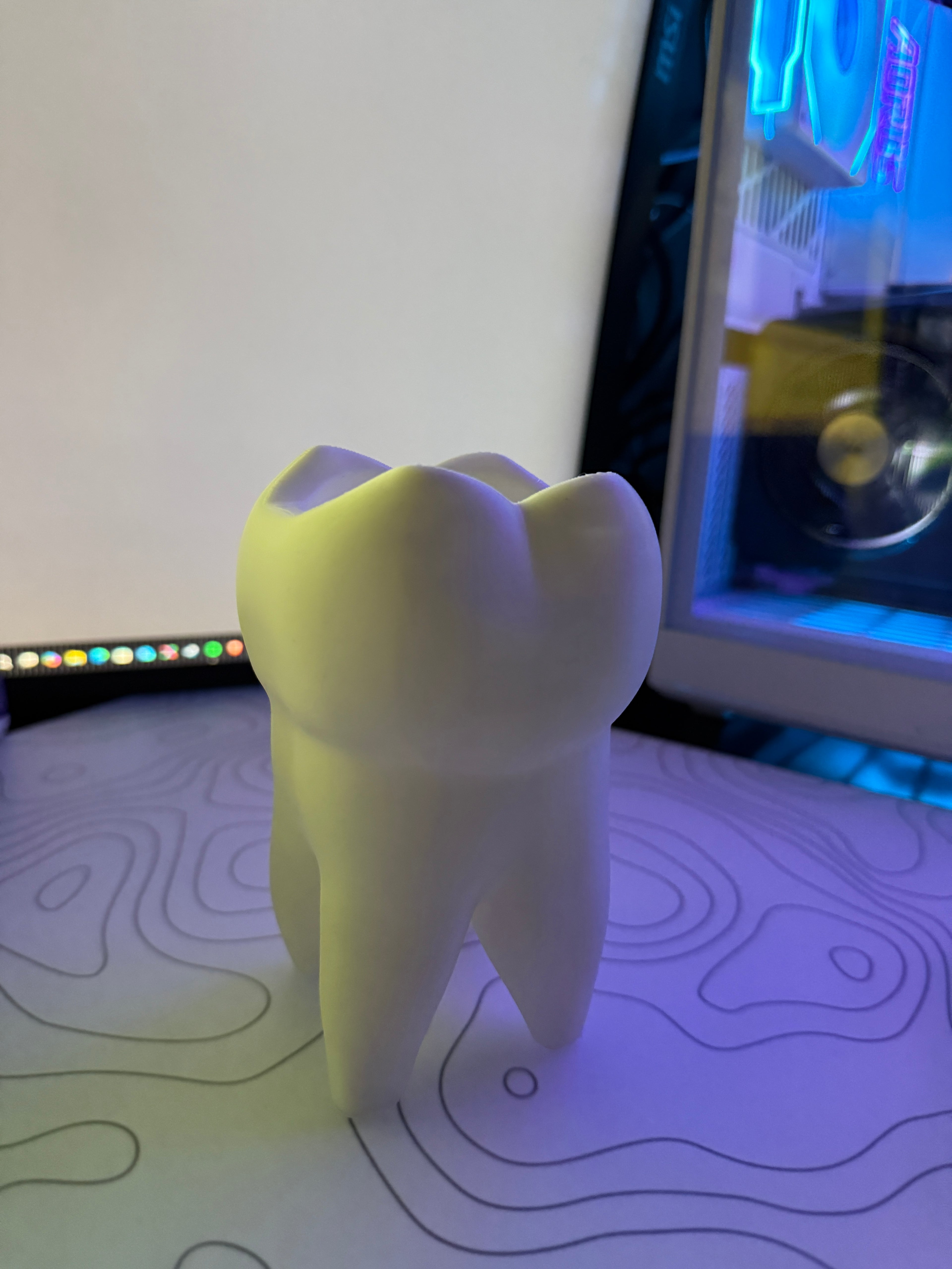 tooth molar pen holder