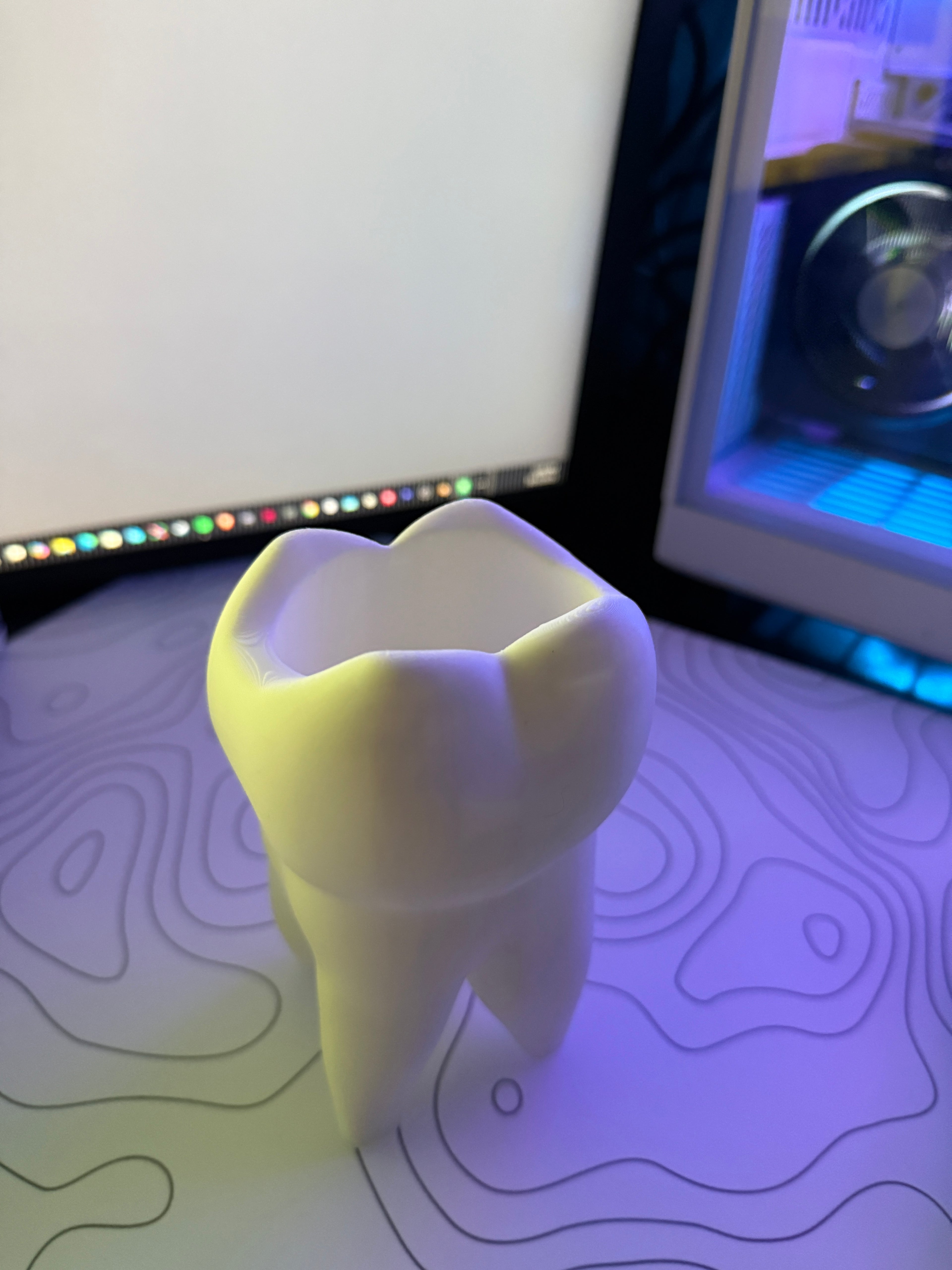 tooth molar pen holder