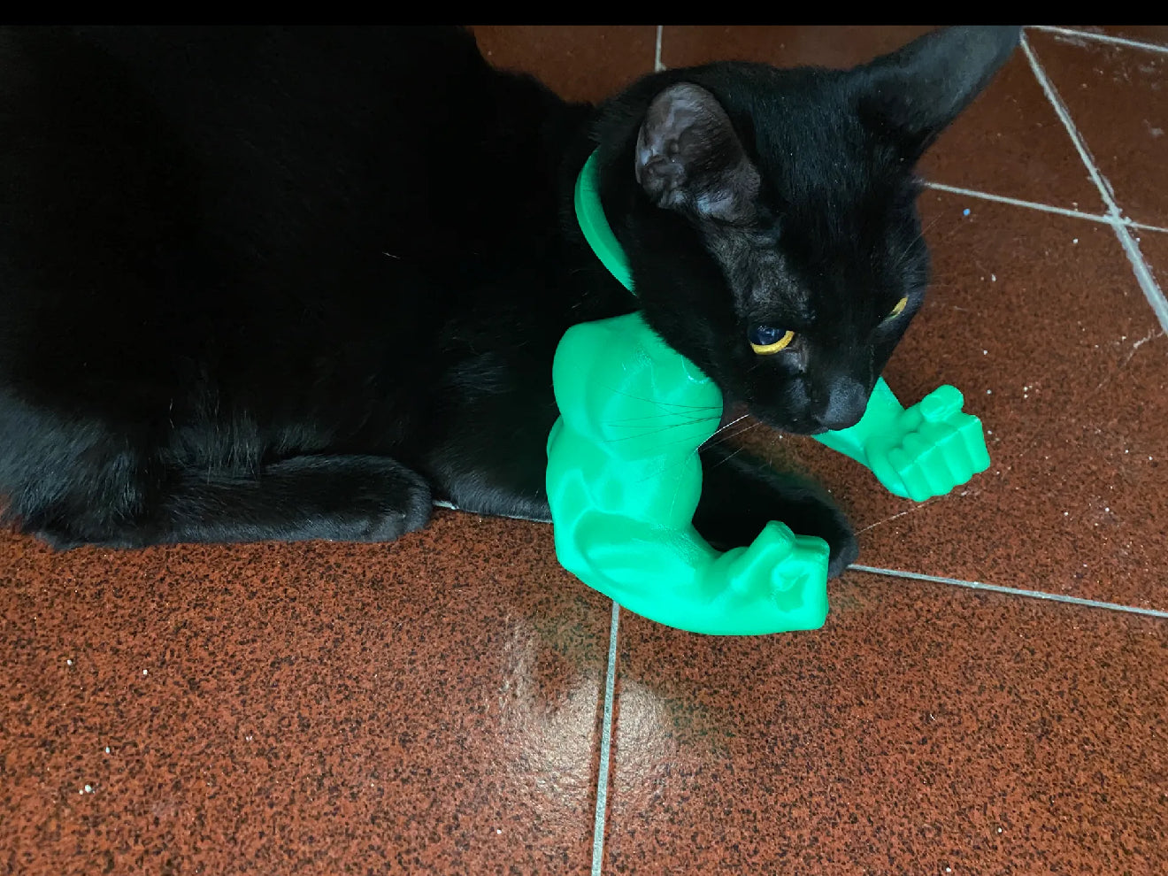 cat hulk necklace arms
