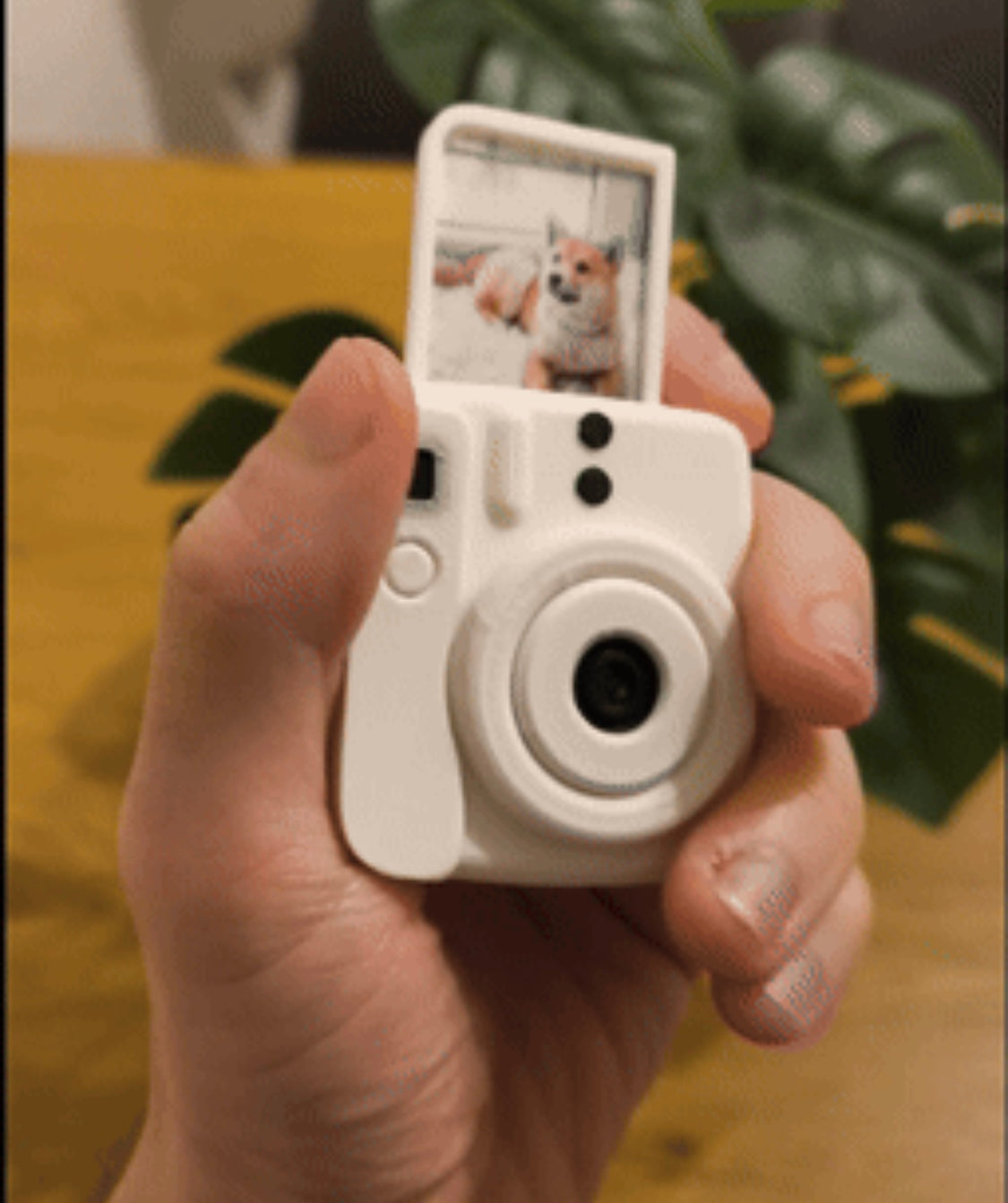 Polaroid Camera Keychain - Button Edition