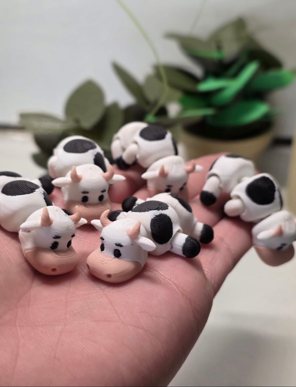 Slip Buddy Mystery Box