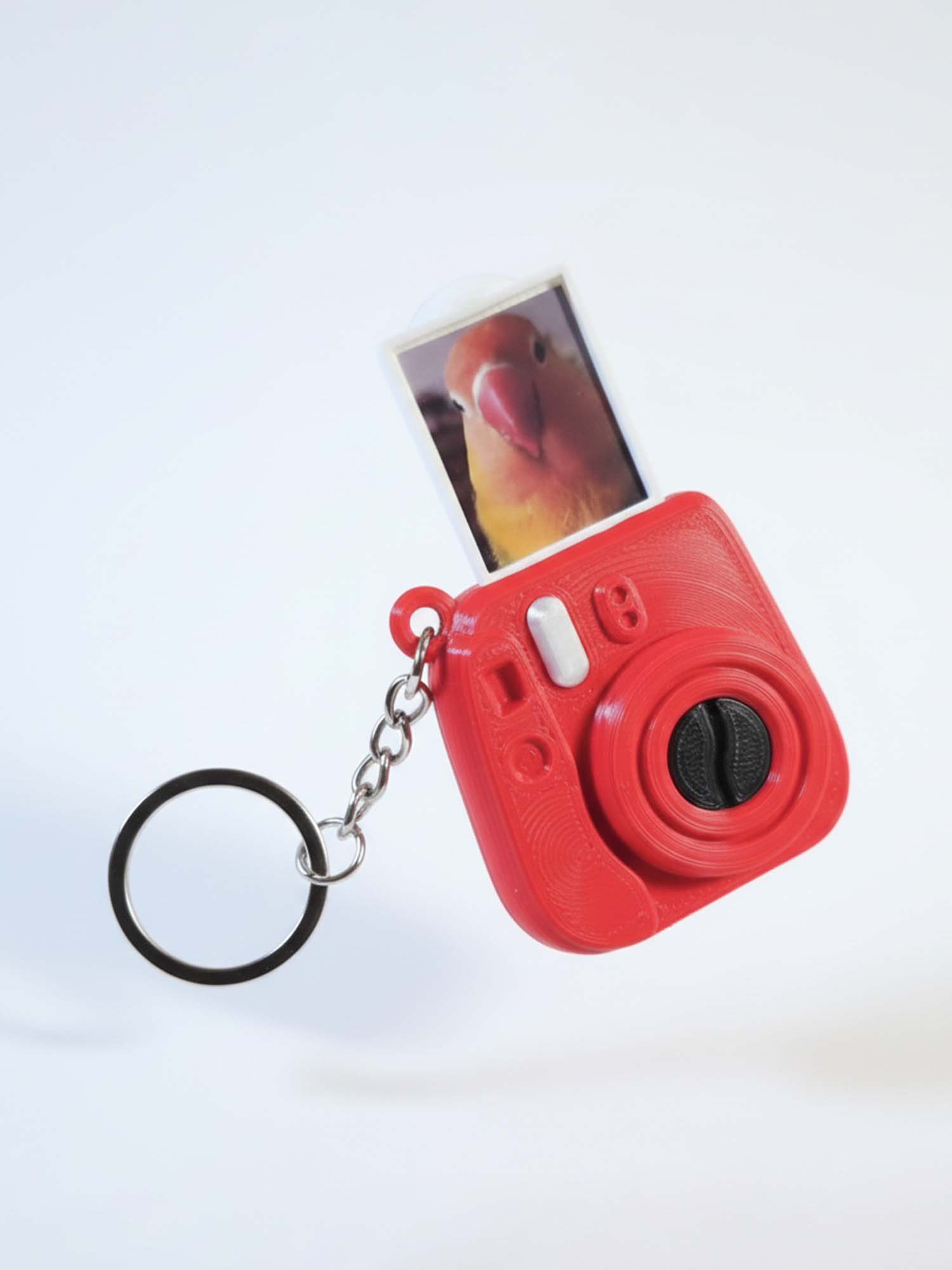 Polaroid Camera Keychain – Standard Edition