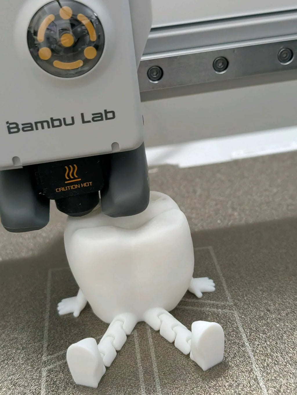 Articulated tooth molar buddy