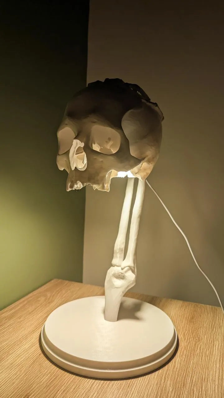 Skull lamp