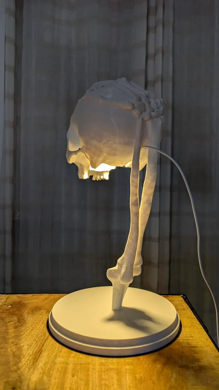 Skull lamp