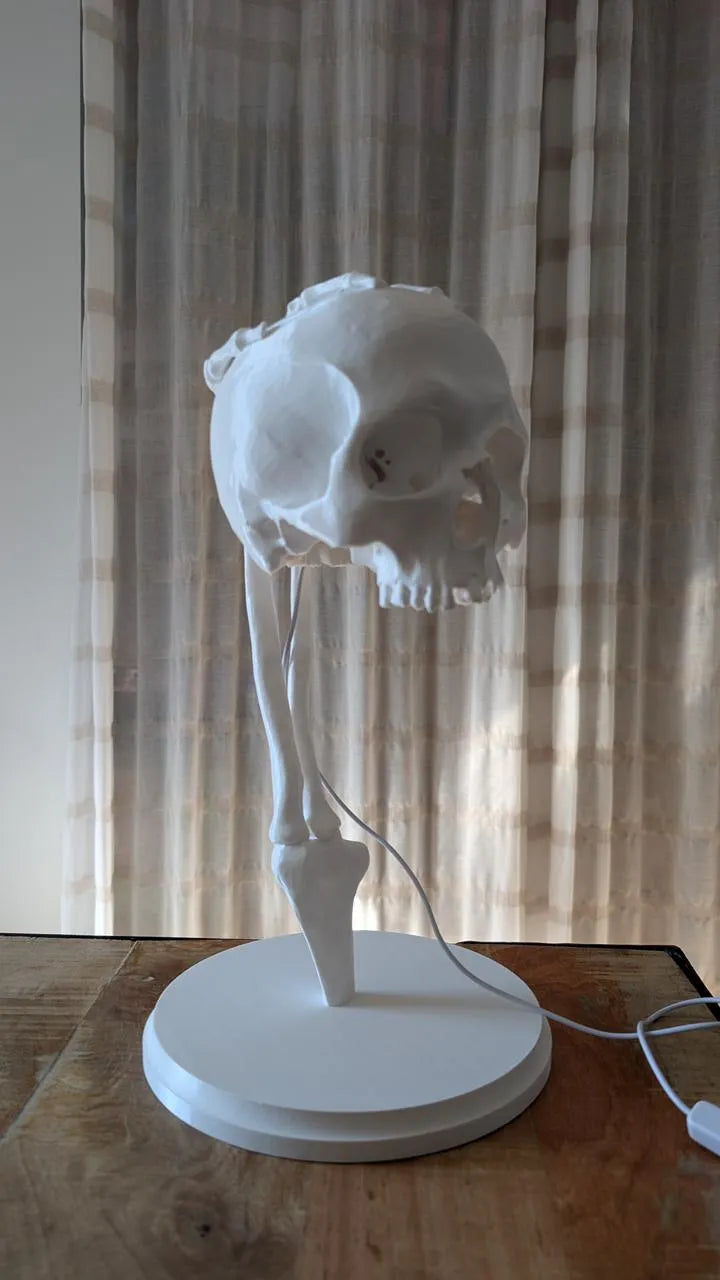Skull lamp