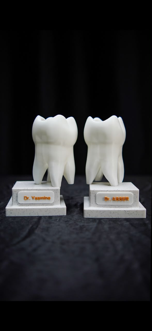 Tooth molar pen holder v2