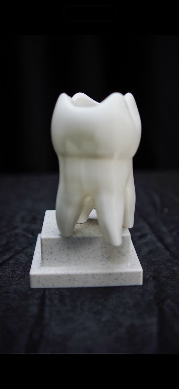 Tooth molar pen holder v2