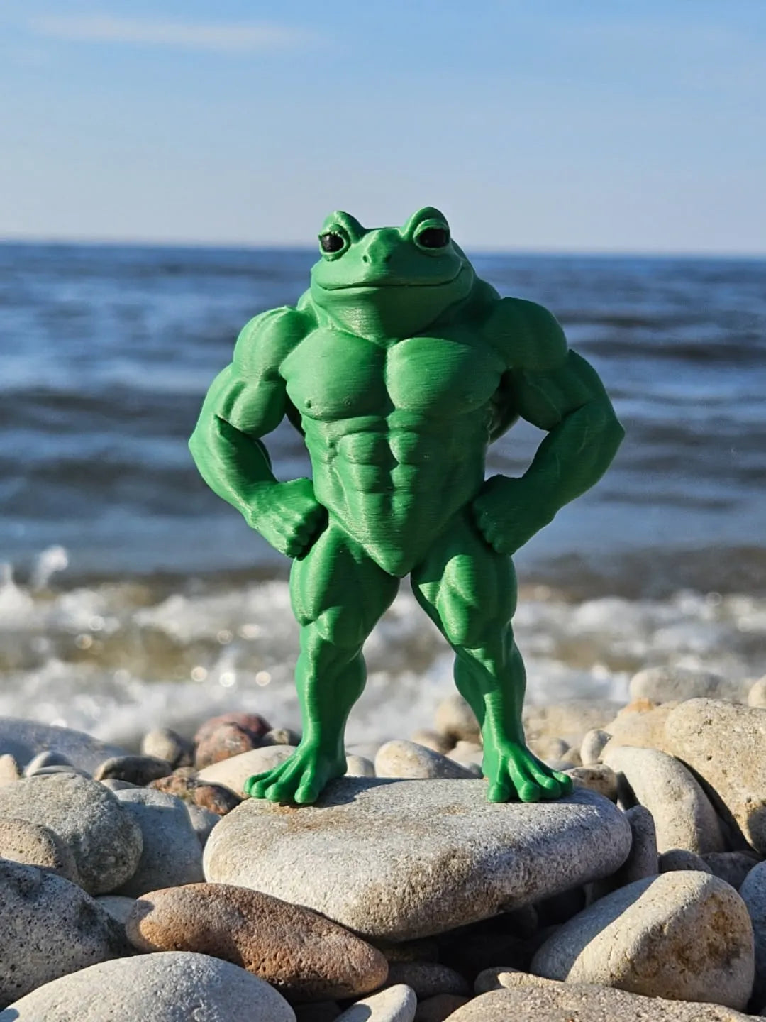 Muscle frog