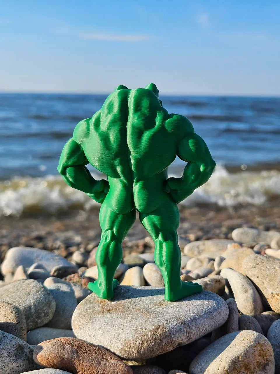 Muscle frog