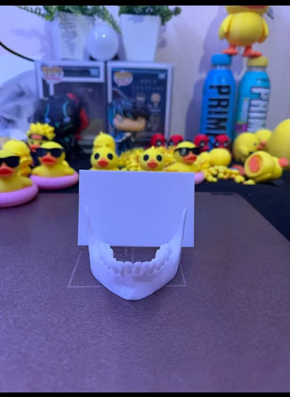 Mandible jaw card holder dentistry