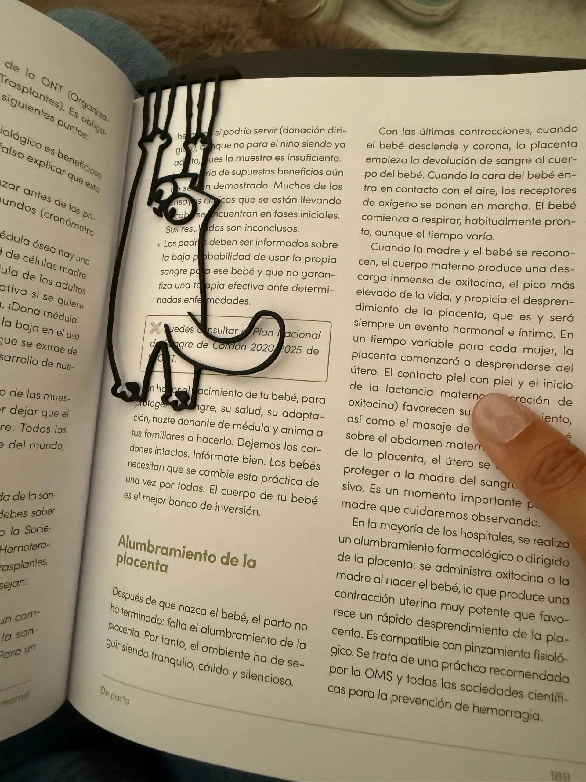 Hanging cat bookmark