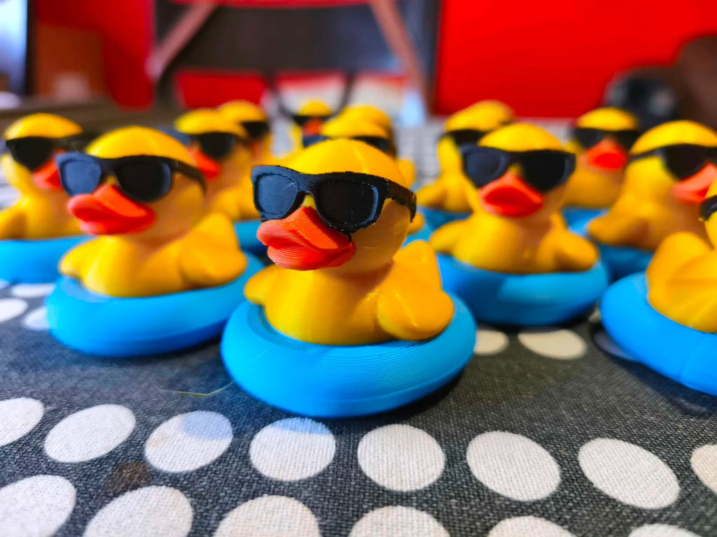 Summer duck
