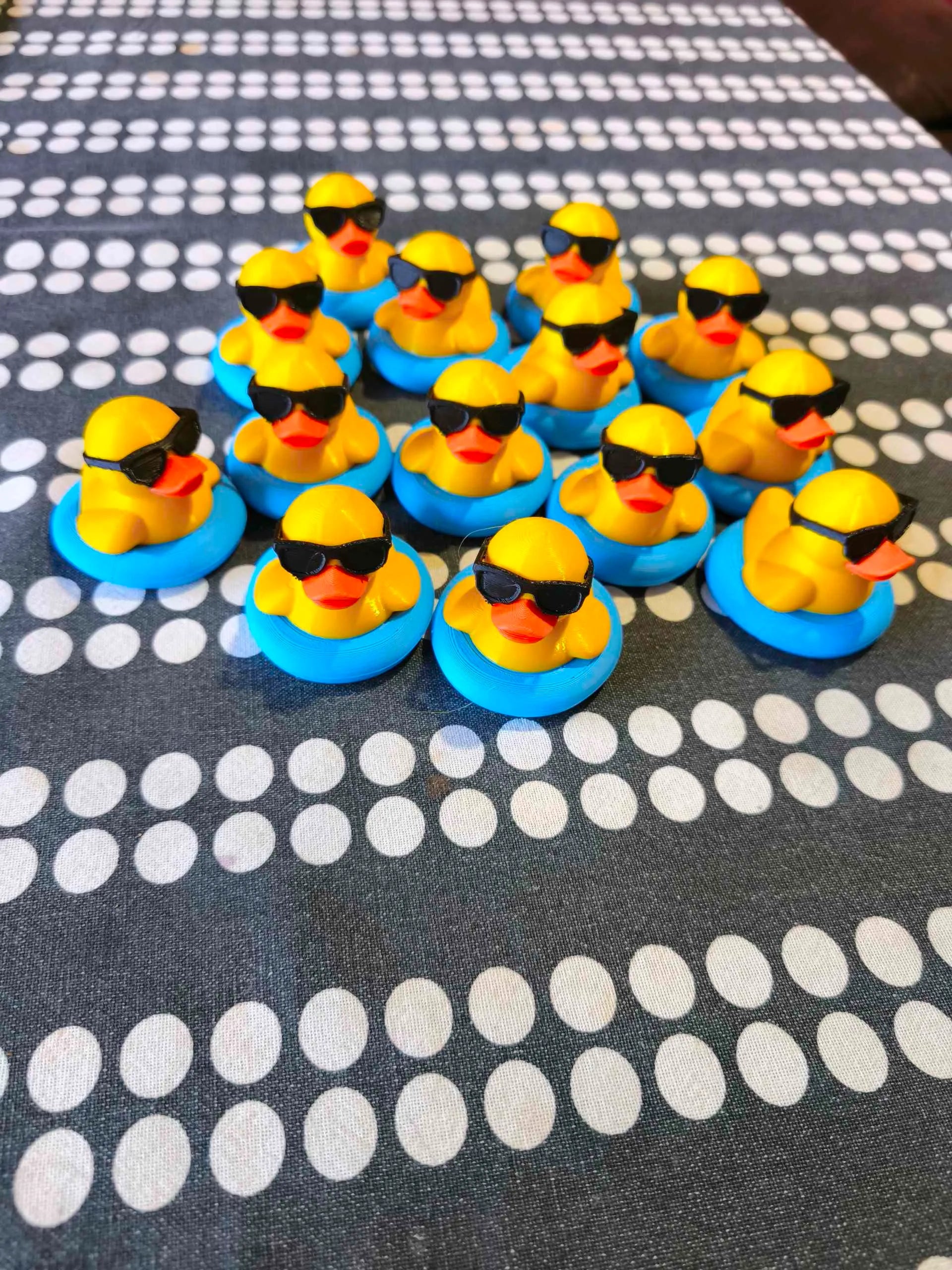 Summer duck