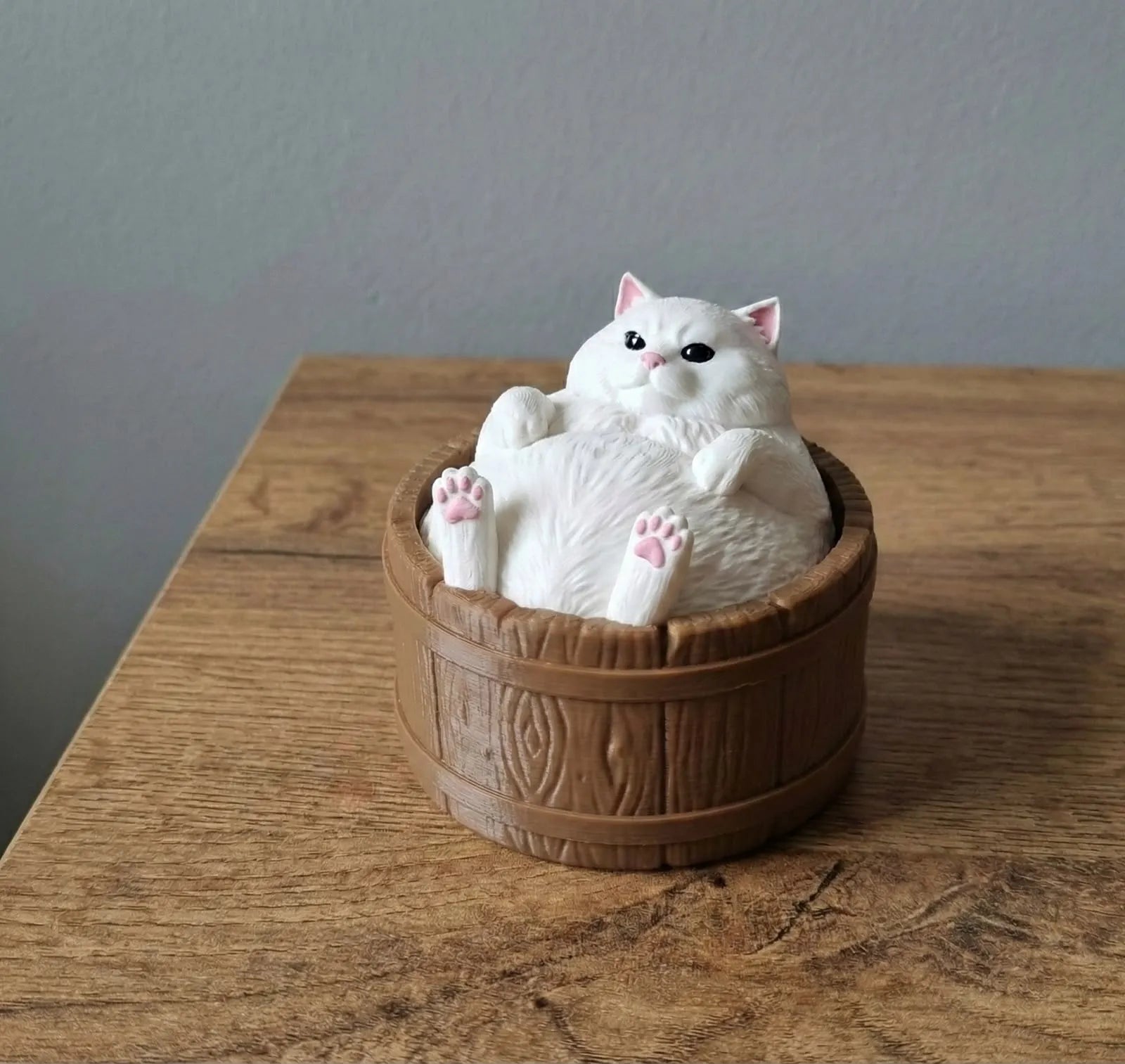 Chonky cat in a tub mini storage box
