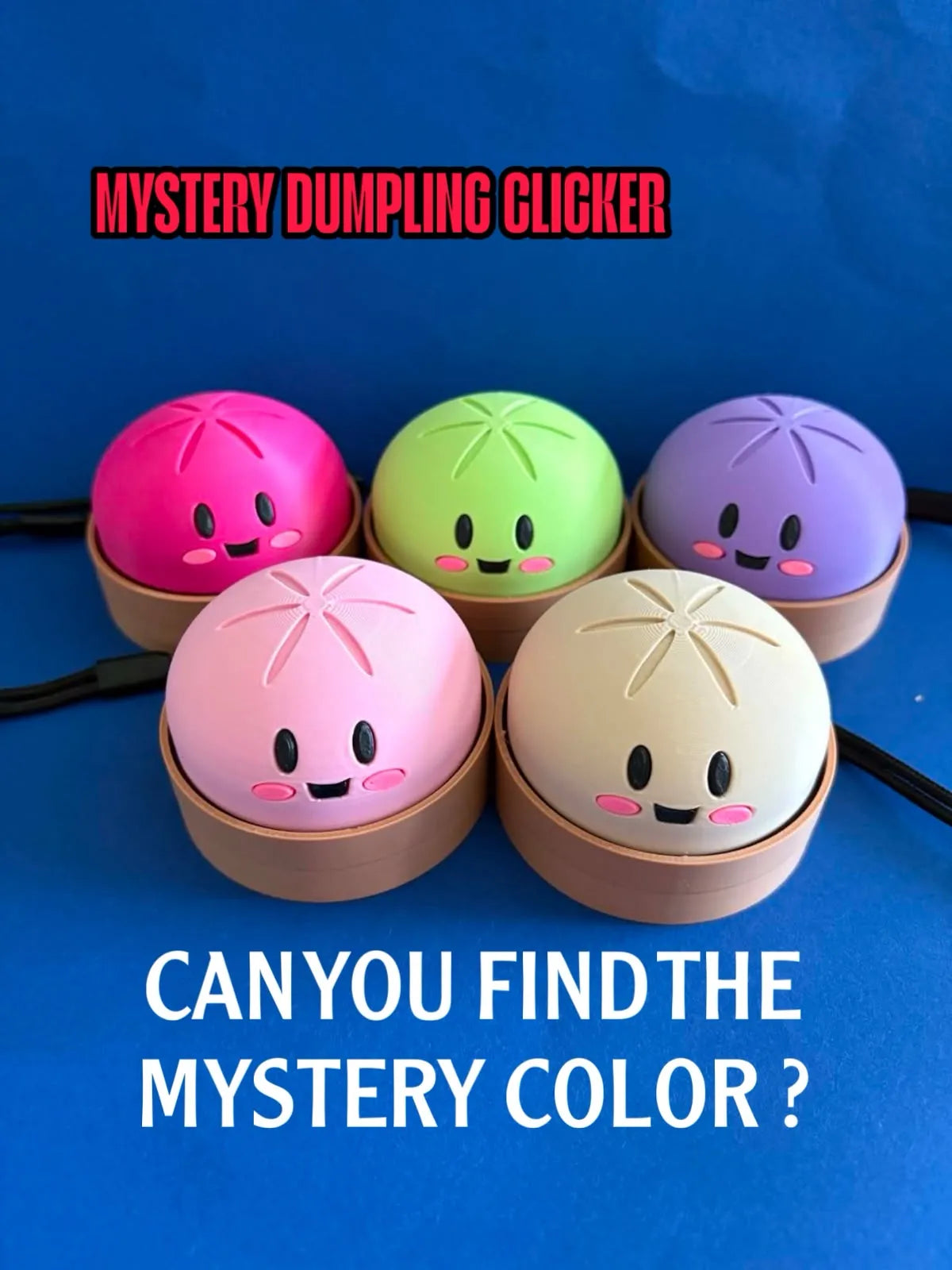 MYSTERY Dumpling clicker with lid