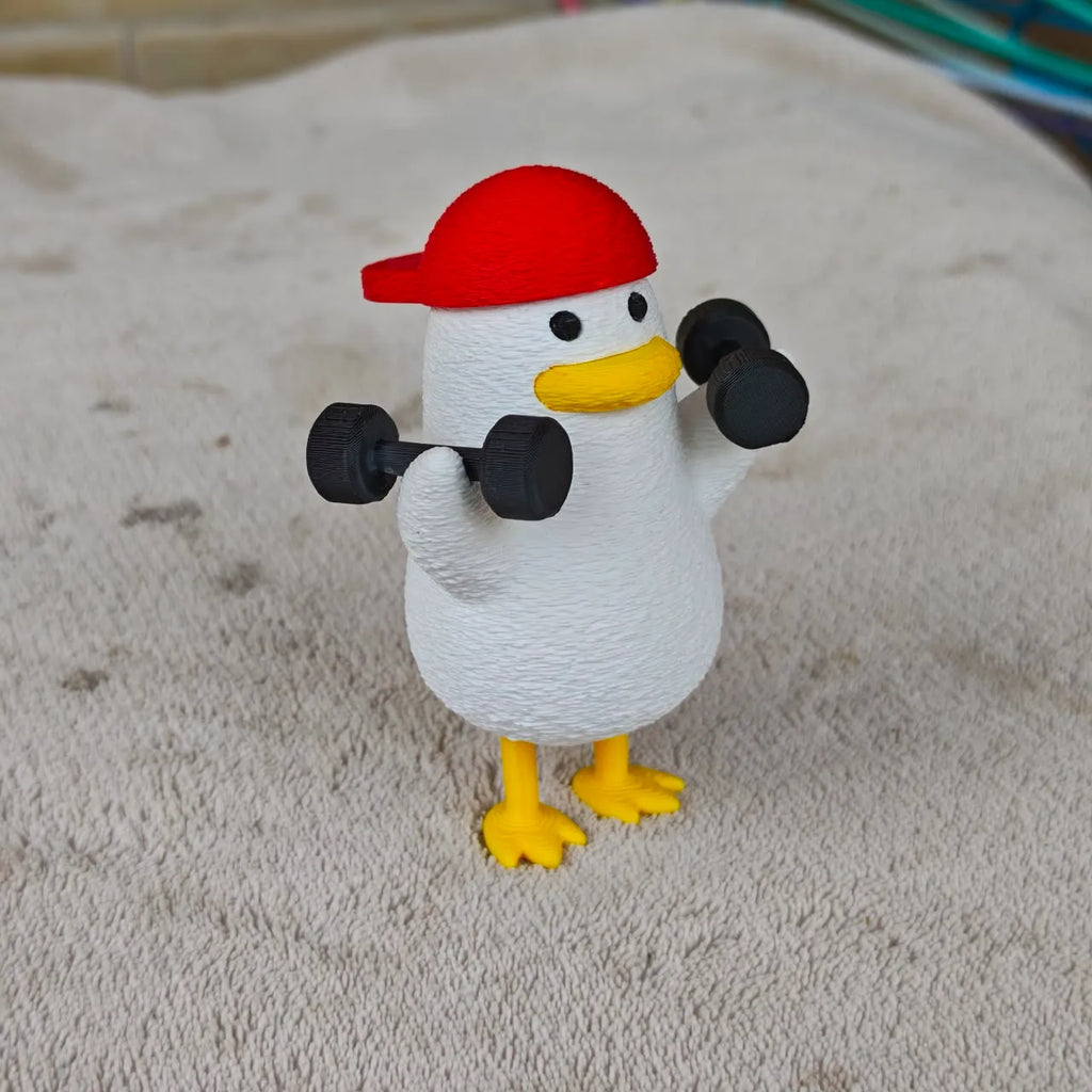 Gym duck (fuzzy skin )