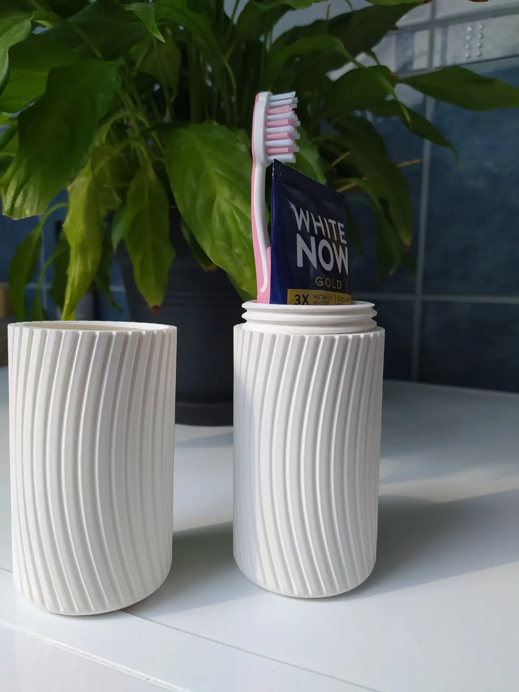 Tooth brush and toothpaste container for traveling