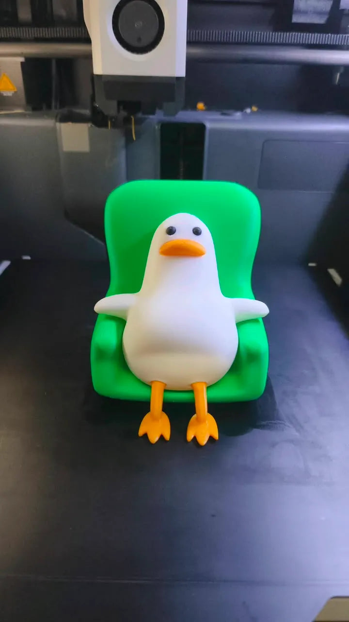 Lazy Duck on chair