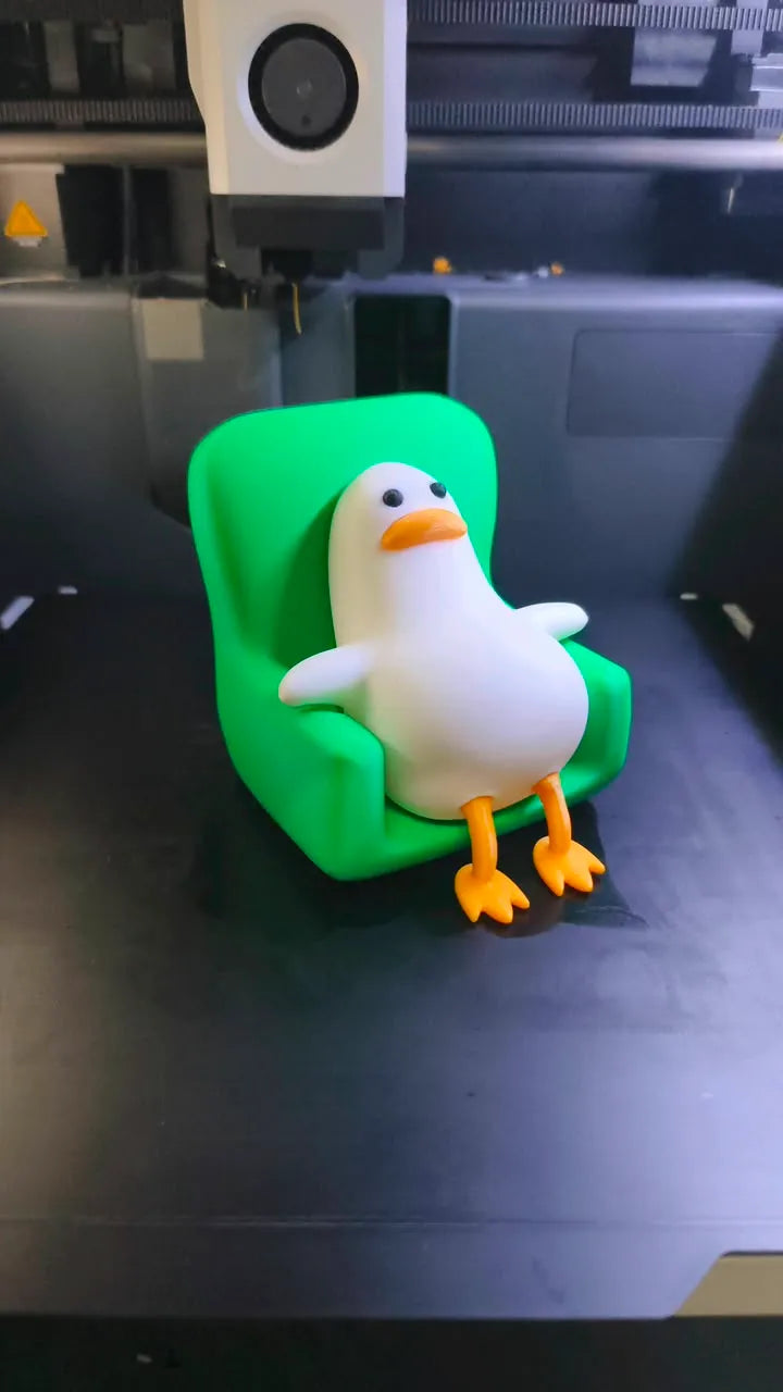 Lazy Duck on chair
