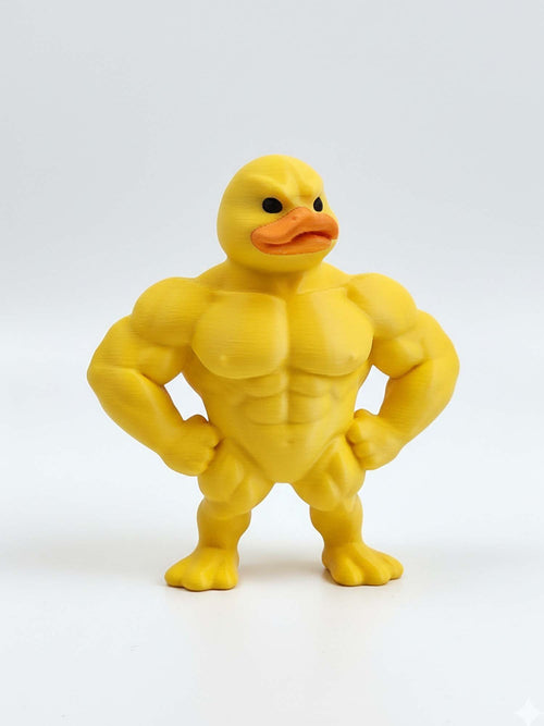 Muscle Duck
