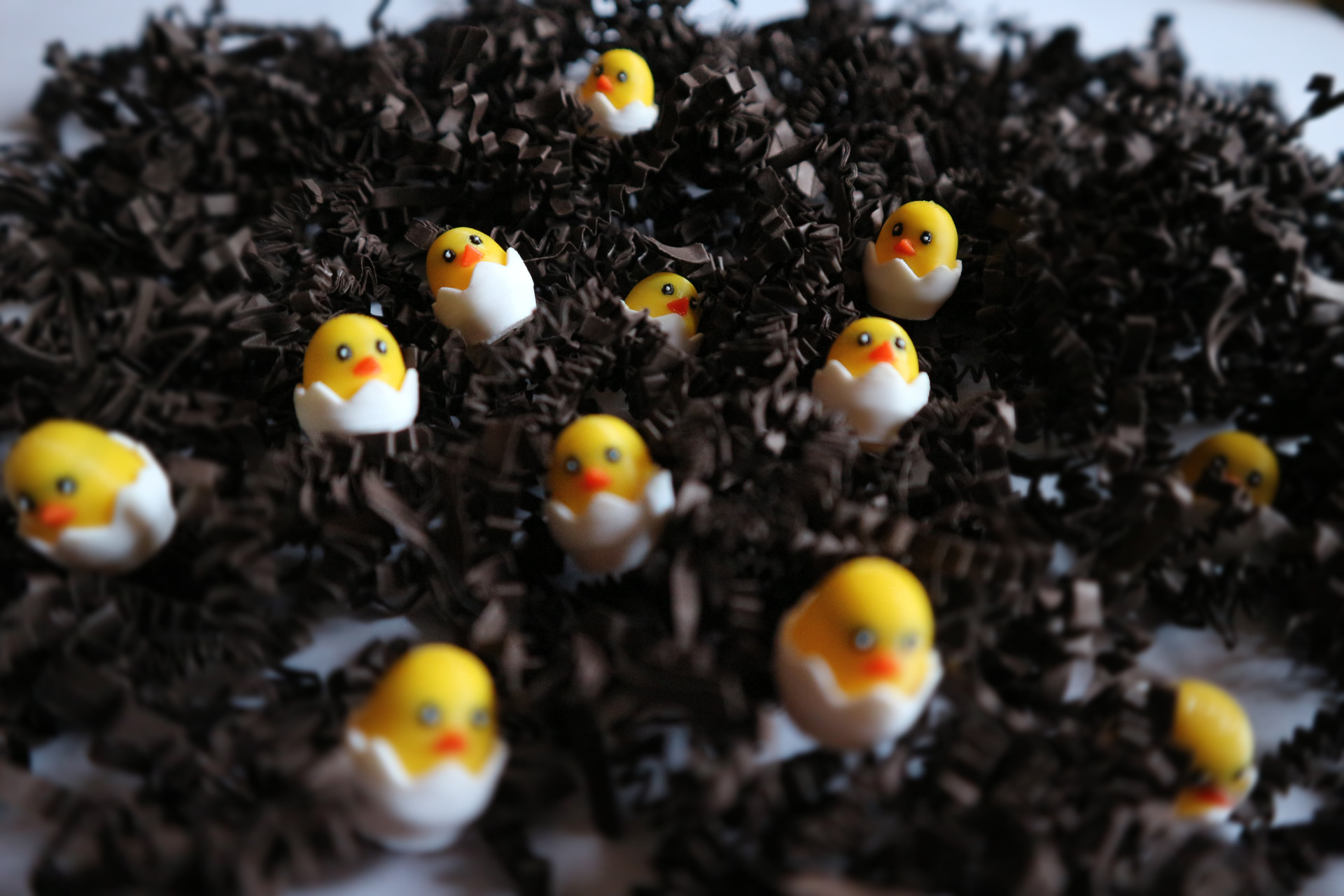 4 Hatching Ducks