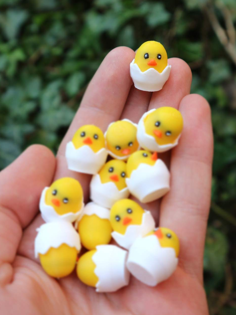 4 Hatching Ducks