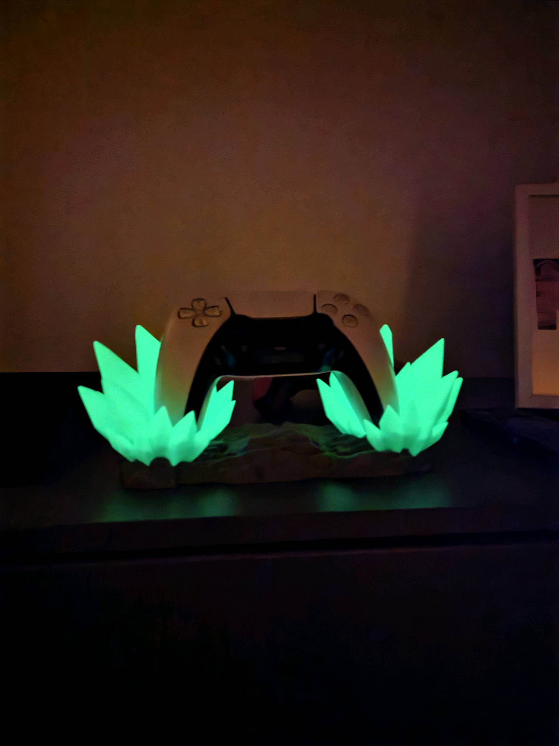Crystal Controller Holder
