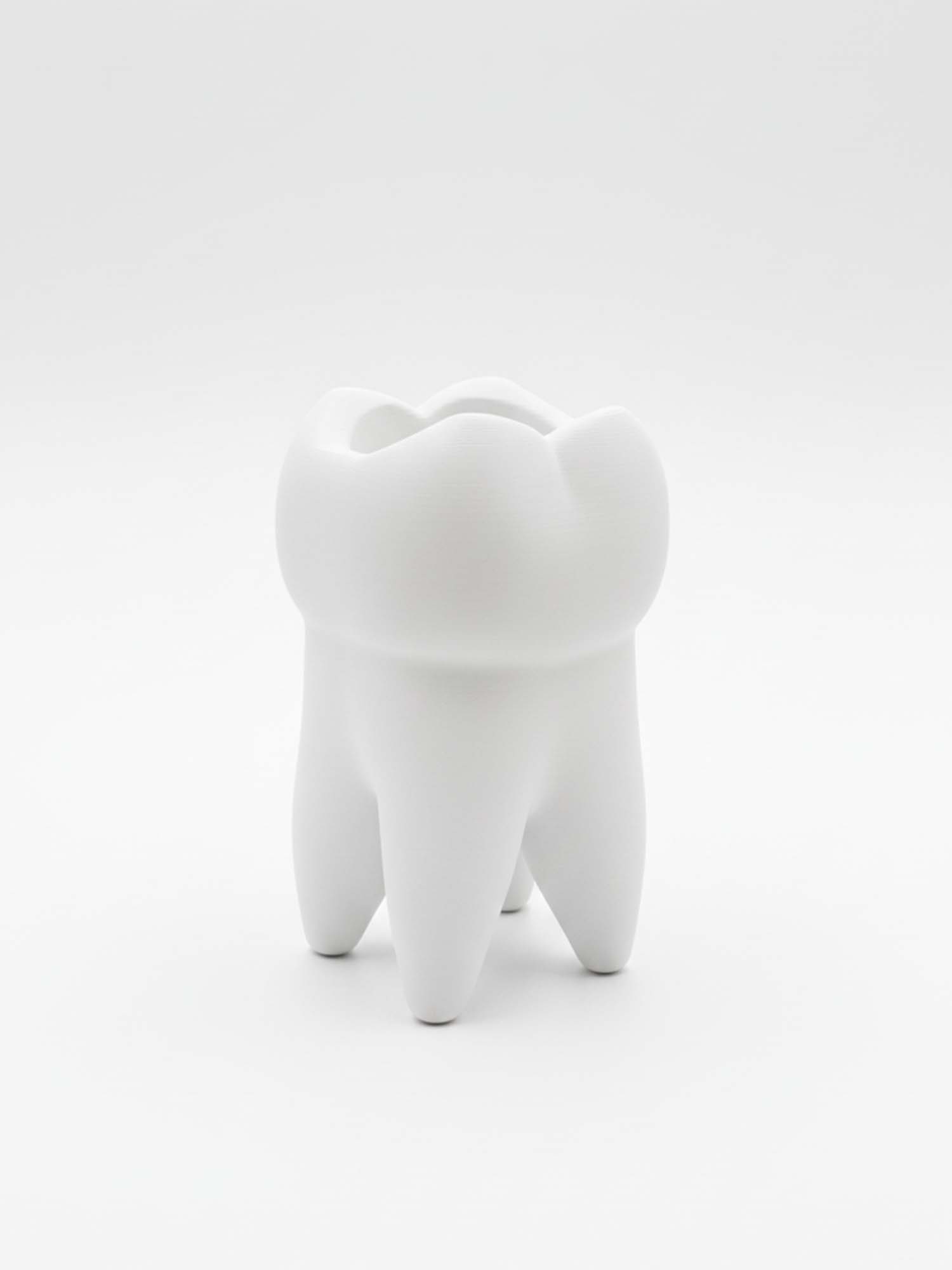 Tooth Molar Pen Holder